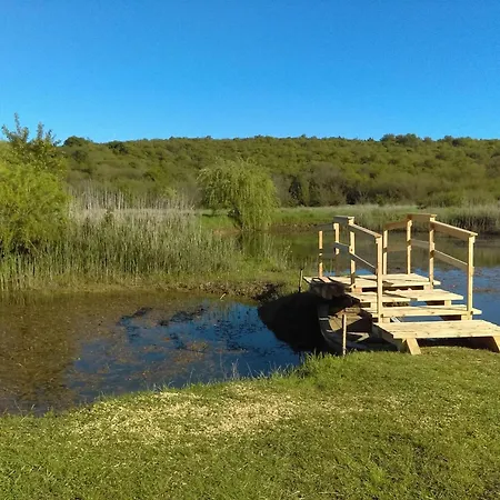 Prime Location Nicely Equipped Apartment Zambratija (Istria)